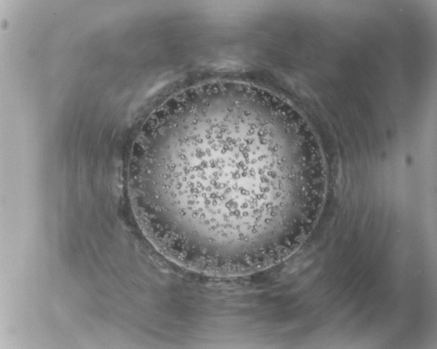 X0000055511301200508262130