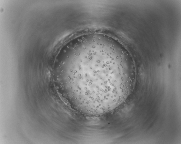 X0000055511302200508262130