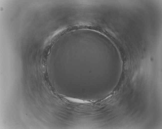 X0000055511303200508262130