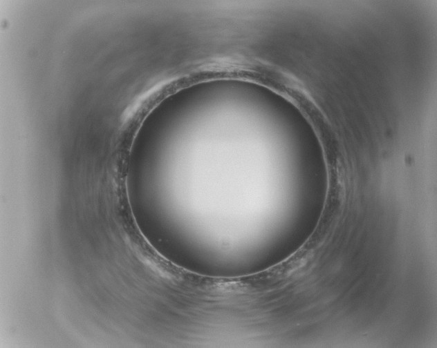 X0000055511304200508262130