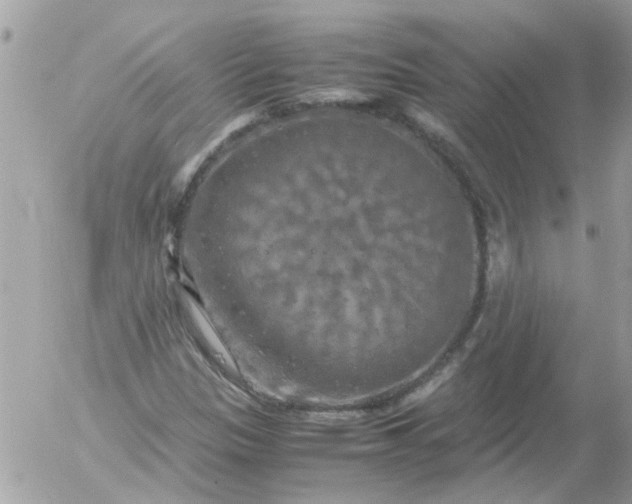 X0000055511305200508262130