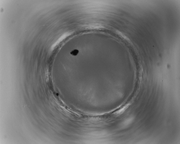 X0000055511306200508262130