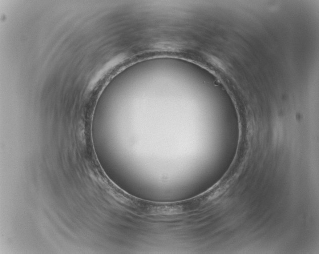 X0000055511307200508262130