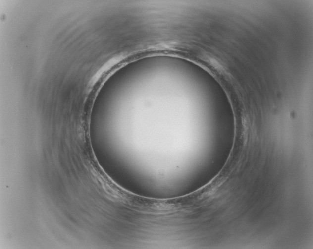 X0000055511308200508262130