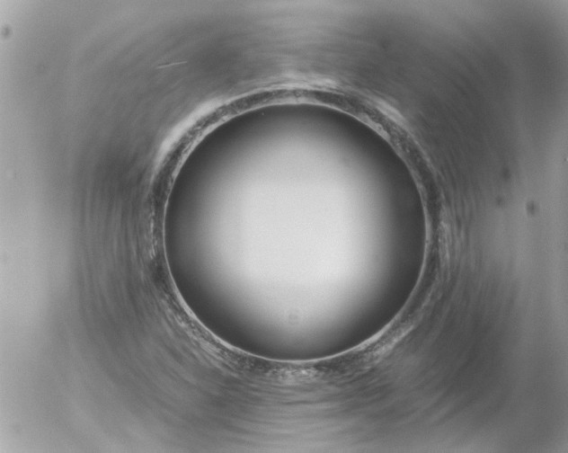 X0000055511310200508262130