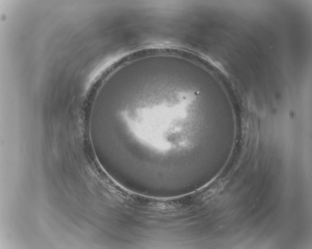 X0000055511311200508262130