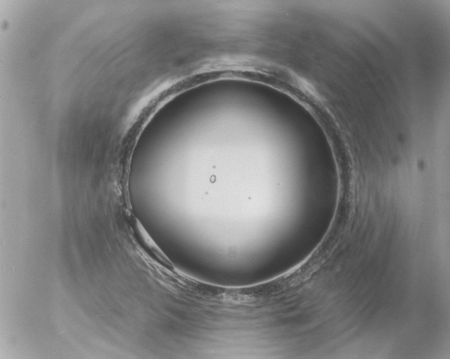 X0000055511312200508262130