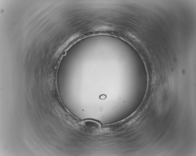 X0000055511313200508262130