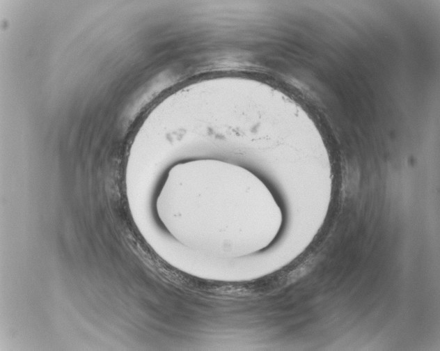 X0000055511314200508262130