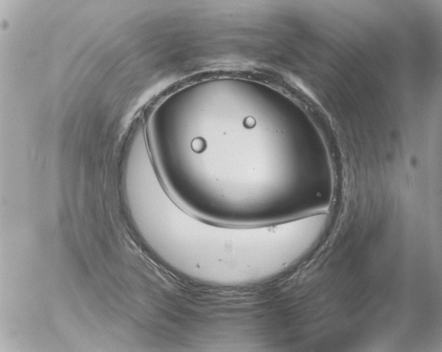 X0000055511315200508262130