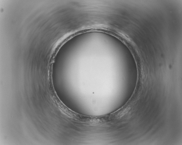 X0000055511316200508262130