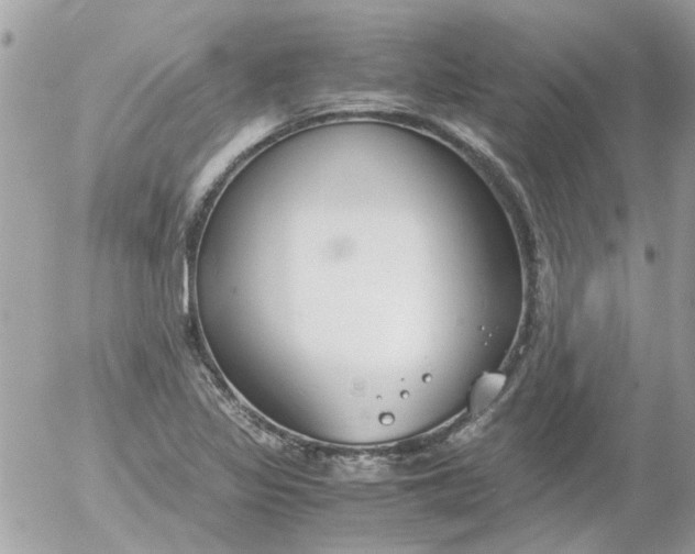 X0000055511317200508262130