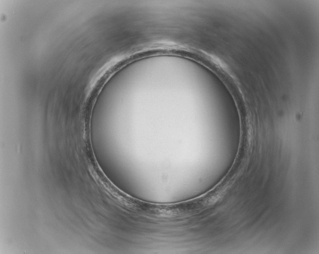 X0000055511318200508262130