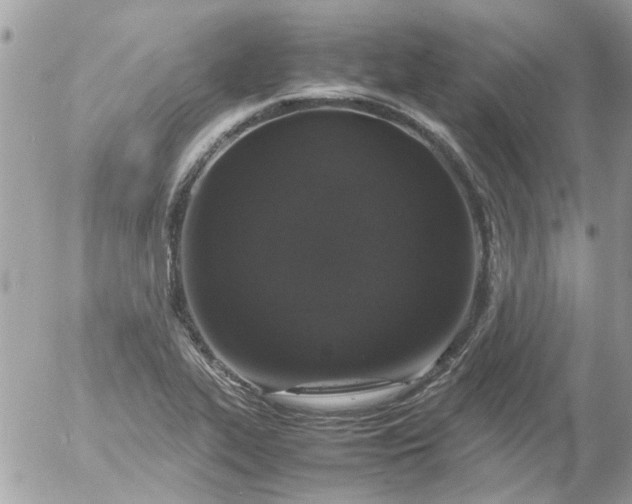 X0000055511319200508262130