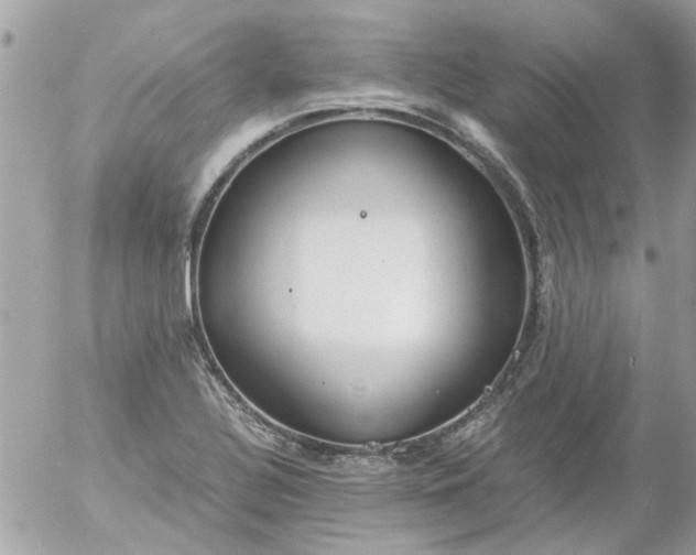 X0000055511320200508262130