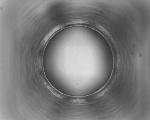 X0000055511321200508262130