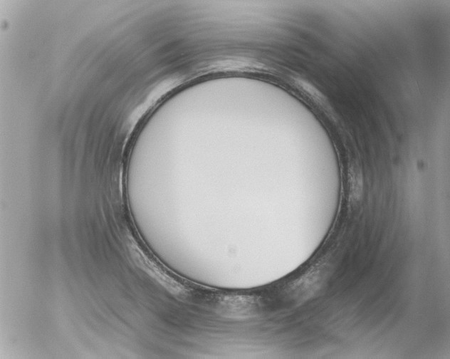 X0000055511322200508262130