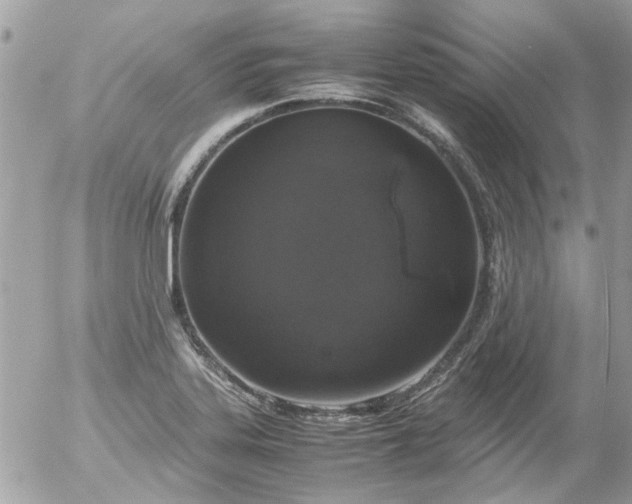 X0000055511323200508262130