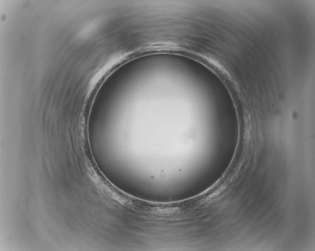 X0000055511325200508262130