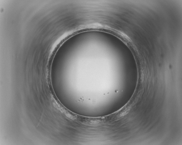 X0000055511326200508262130