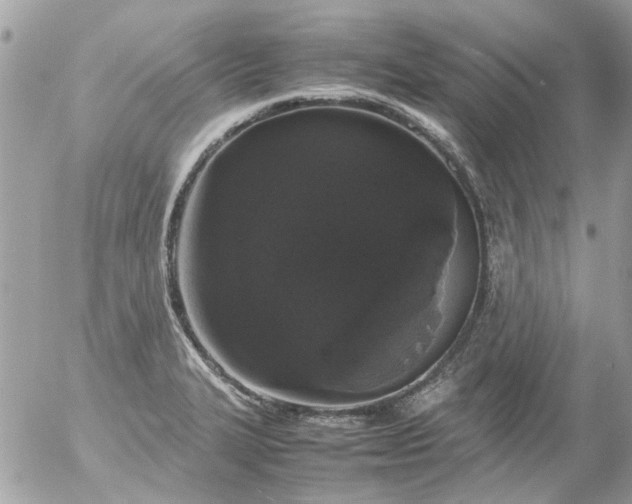 X0000055511327200508262130