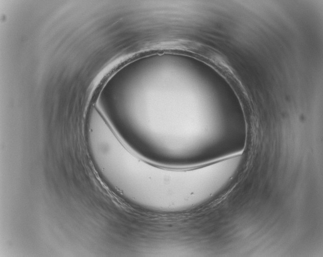 X0000055511328200508262130