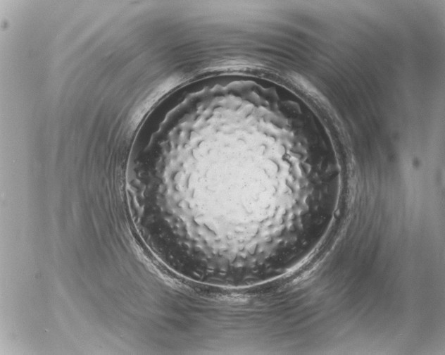 X0000055511329200508262130