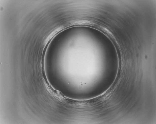 X0000055511330200508262130