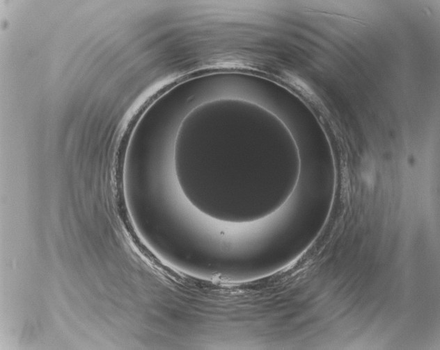 X0000055511331200508262130