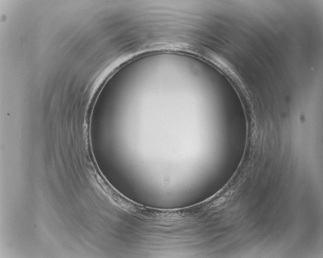 X0000055511332200508262130