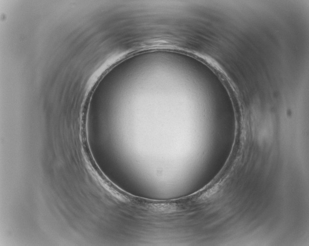 X0000055511333200508262130