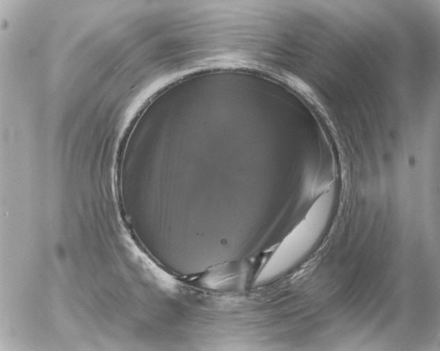 X0000055511334200508262130