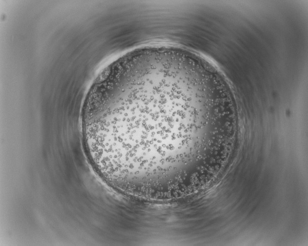 X0000055511335200508262130