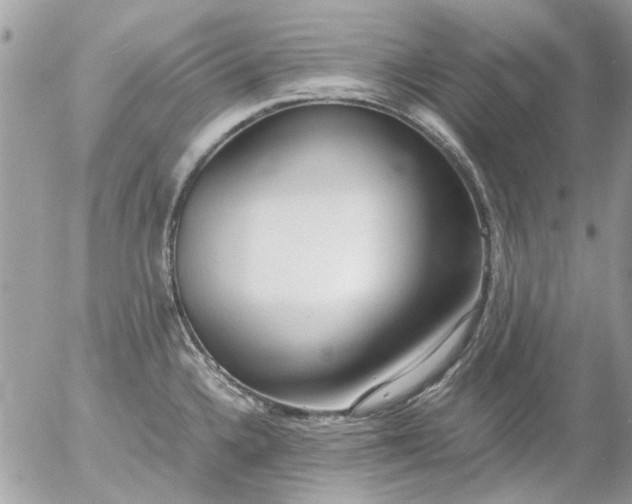 X0000055511336200508262130