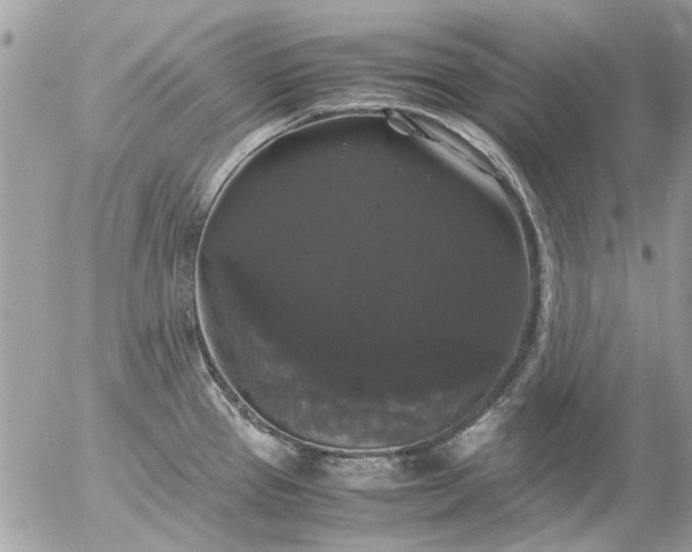 X0000055511337200508262130