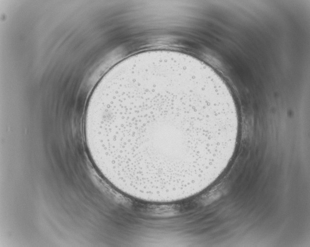 X0000055511338200508262130