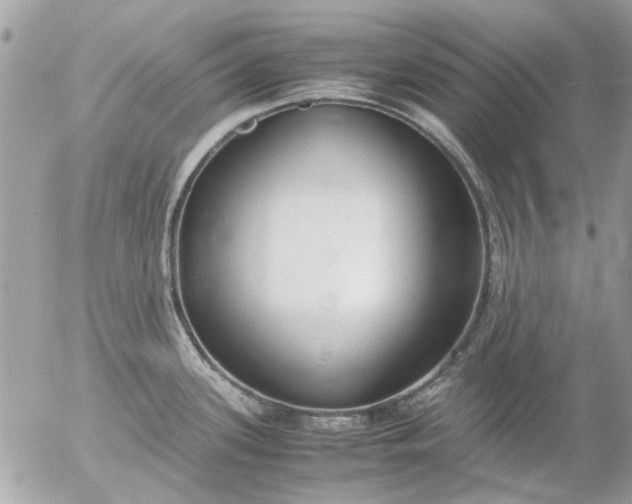 X0000055511339200508262130