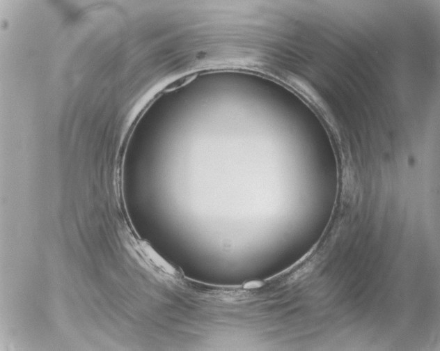 X0000055511340200508262130