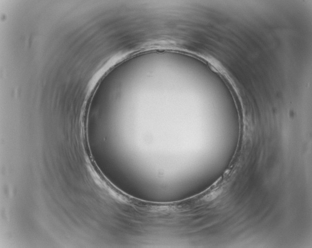 X0000055511341200508262130