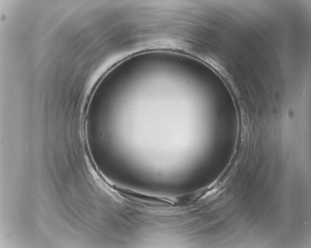 X0000055511342200508262130