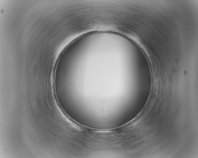 X0000055511343200508262131