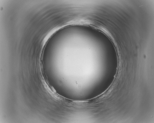 X0000055511344200508262131