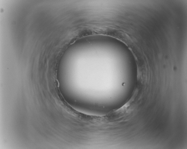 X0000055511345200508262130