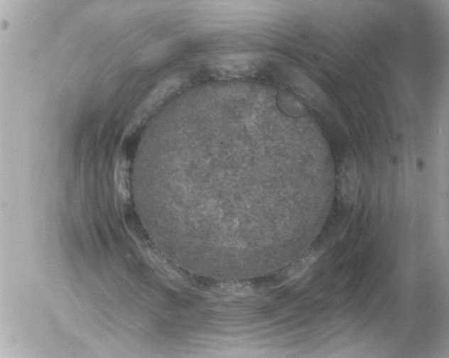 X0000055511346200508262130