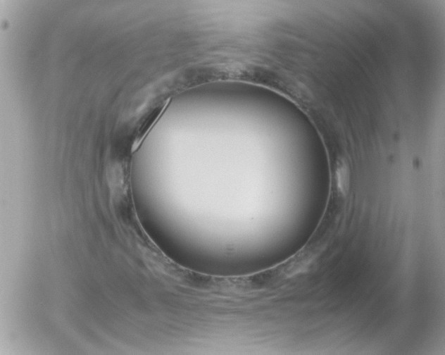 X0000055511347200508262130