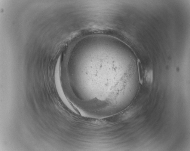 X0000055511348200508262130