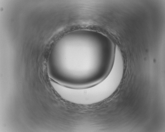 X0000055511349200508262130