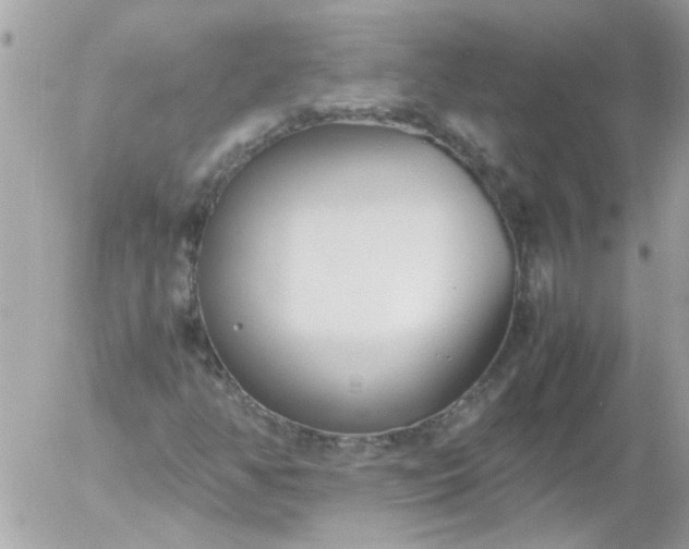 X0000055511350200508262130