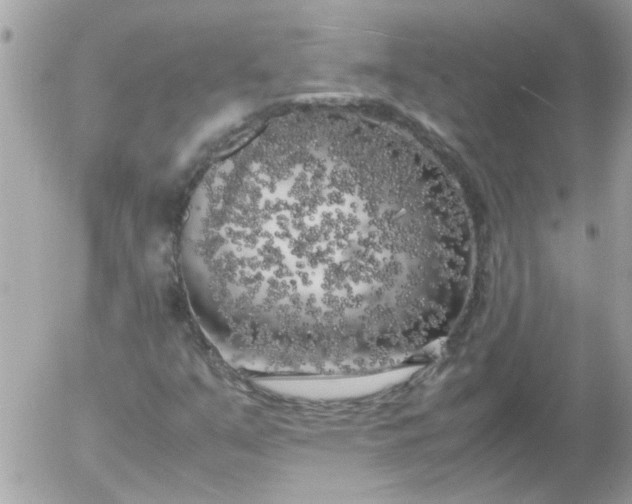 X0000055511351200508262130