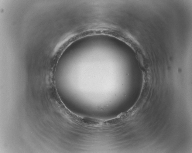 X0000055511352200508262130